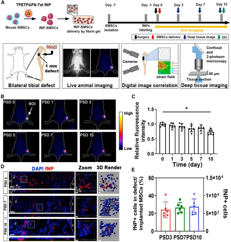 https://cdn.ncbi.nlm.nih.gov/pmc/blobs/d314/11019495/a15b71d24590/d3na00851g-f2.jpg