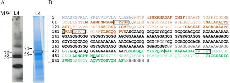 https://cdn.ncbi.nlm.nih.gov/pmc/blobs/d314/12033203/a7ea4d9e7139/299_2025_3485_Fig4_HTML.jpg