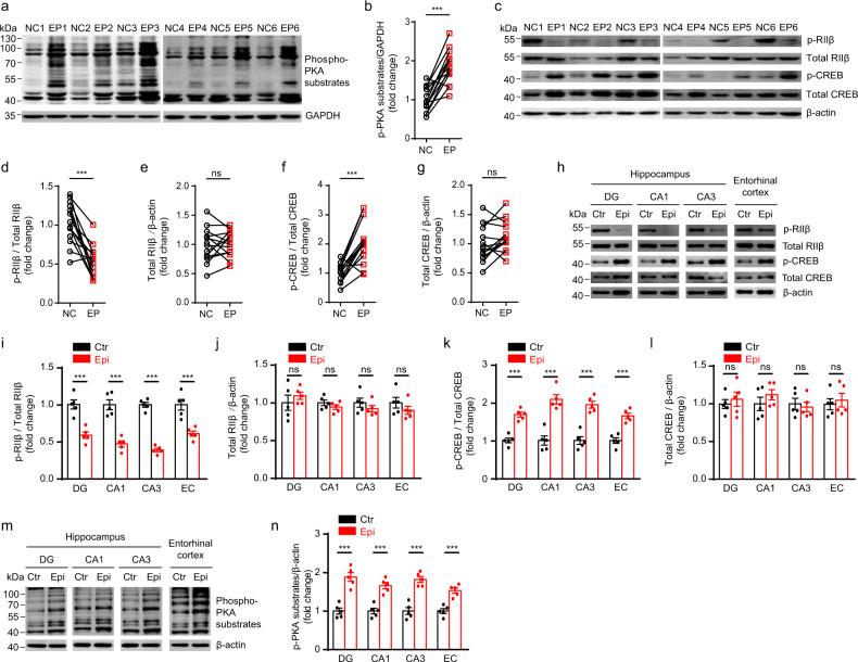 https://cdn.ncbi.nlm.nih.gov/pmc/blobs/d314/7921646/b842be93cc45/42003_2021_1748_Fig1_HTML.jpg