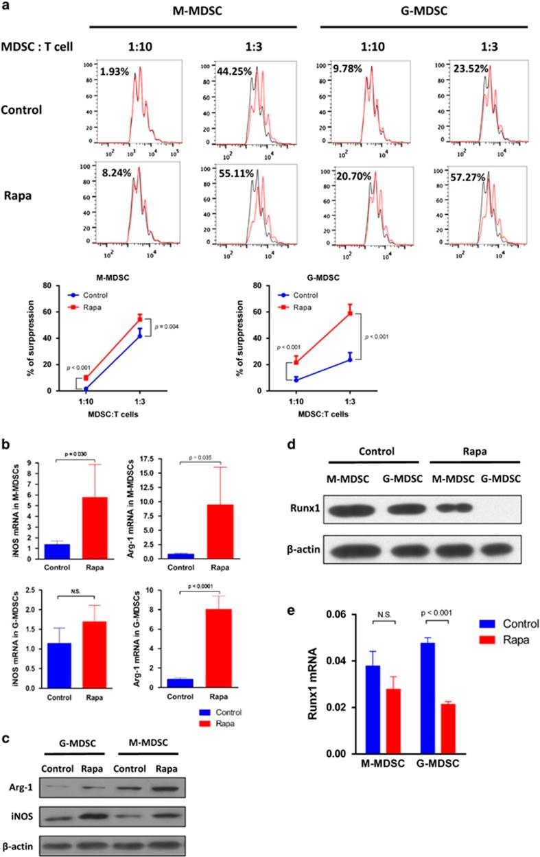 https://cdn.ncbi.nlm.nih.gov/pmc/blobs/d315/5386577/2aa144974ef0/cddis201786f6.jpg