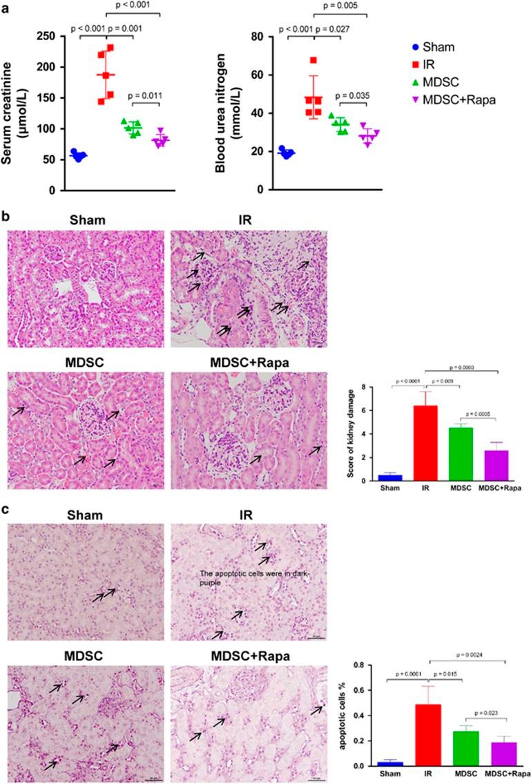 https://cdn.ncbi.nlm.nih.gov/pmc/blobs/d315/5386577/48344960549f/cddis201786f4a.jpg