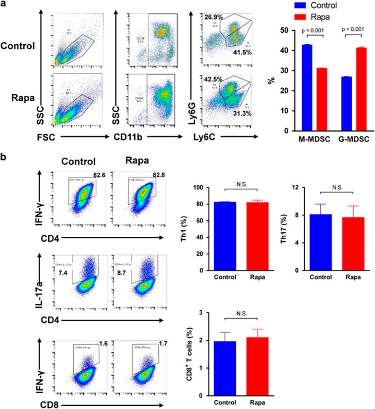 https://cdn.ncbi.nlm.nih.gov/pmc/blobs/d315/5386577/a9e8b15d3fa9/cddis201786f5.jpg