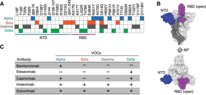 https://cdn.ncbi.nlm.nih.gov/pmc/blobs/d316/8786300/69971ec975b3/BST-49-2879-g0002.jpg