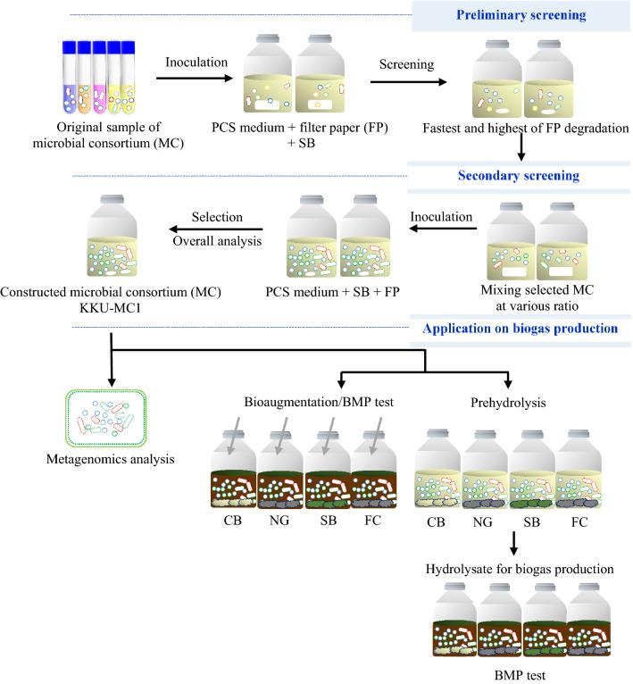 https://cdn.ncbi.nlm.nih.gov/pmc/blobs/d316/9941523/2e167d1e02b7/41598_2023_29895_Fig1_HTML.jpg