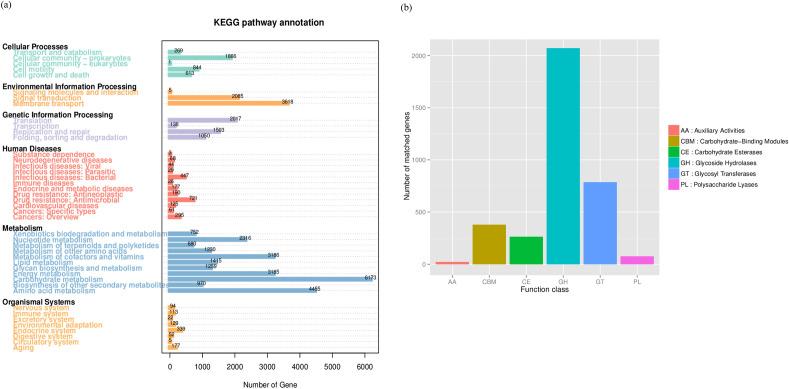 https://cdn.ncbi.nlm.nih.gov/pmc/blobs/d316/9941523/4ad9e5bc19e6/41598_2023_29895_Fig4_HTML.jpg