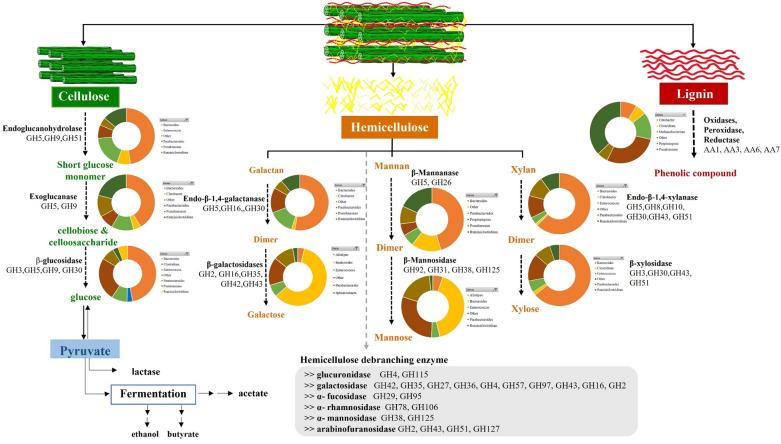 https://cdn.ncbi.nlm.nih.gov/pmc/blobs/d316/9941523/c72a3dd1e9a2/41598_2023_29895_Fig6_HTML.jpg