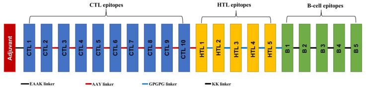 https://cdn.ncbi.nlm.nih.gov/pmc/blobs/d317/11509883/5fe713fbca59/pathogens-13-00916-g002.jpg