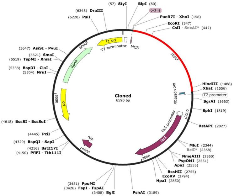 https://cdn.ncbi.nlm.nih.gov/pmc/blobs/d317/11509883/8ca590a6d3b7/pathogens-13-00916-g010.jpg