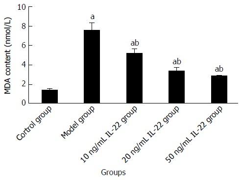 https://cdn.ncbi.nlm.nih.gov/pmc/blobs/d317/5360641/daf486e561e6/WJG-23-2002-g010.jpg