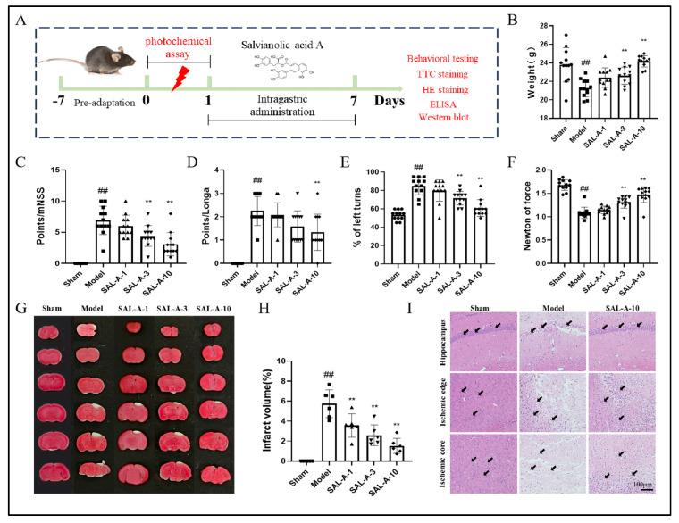 https://cdn.ncbi.nlm.nih.gov/pmc/blobs/d318/12348739/9ec11e62f78f/molecules-30-03266-g001.jpg