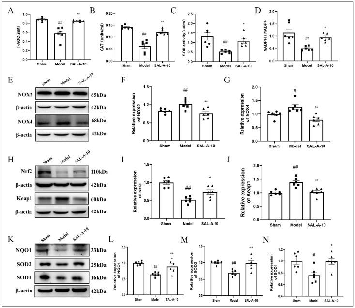 https://cdn.ncbi.nlm.nih.gov/pmc/blobs/d318/12348739/a567e94e8e0b/molecules-30-03266-g002.jpg