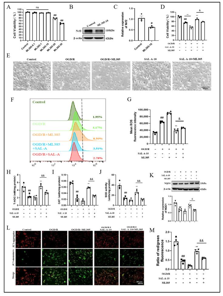 https://cdn.ncbi.nlm.nih.gov/pmc/blobs/d318/12348739/b317fb7f765d/molecules-30-03266-g004.jpg