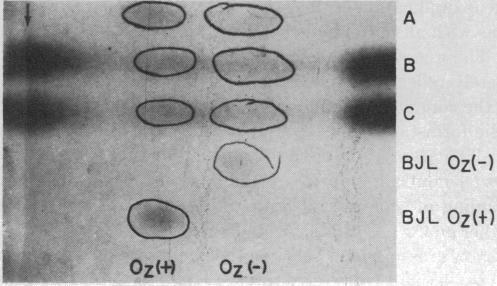 https://cdn.ncbi.nlm.nih.gov/pmc/blobs/d318/225149/8c56d527d615/pnas00121-0243-a.jpg