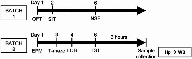 https://cdn.ncbi.nlm.nih.gov/pmc/blobs/d31a/12096558/06e0040550ac/13293_2025_716_Fig1_HTML.jpg