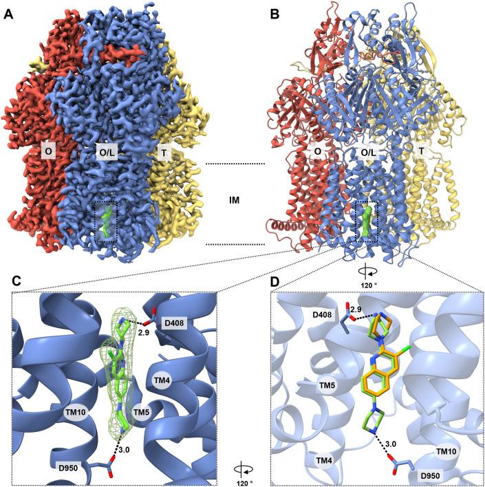 https://cdn.ncbi.nlm.nih.gov/pmc/blobs/d31c/10897476/4f5d5ae4cf5f/44321_2023_7_Fig1_HTML.jpg