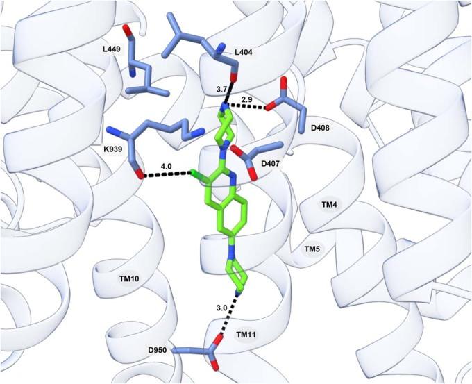 https://cdn.ncbi.nlm.nih.gov/pmc/blobs/d31c/10897476/7e92952a79df/44321_2023_7_Fig5_ESM.jpg