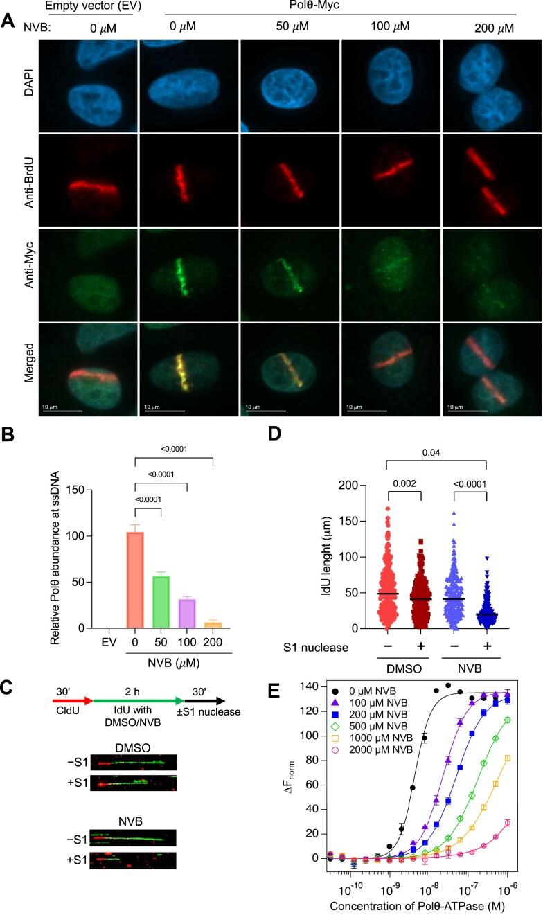https://cdn.ncbi.nlm.nih.gov/pmc/blobs/d31e/10570058/5454b65e744b/gkad727fig3.jpg