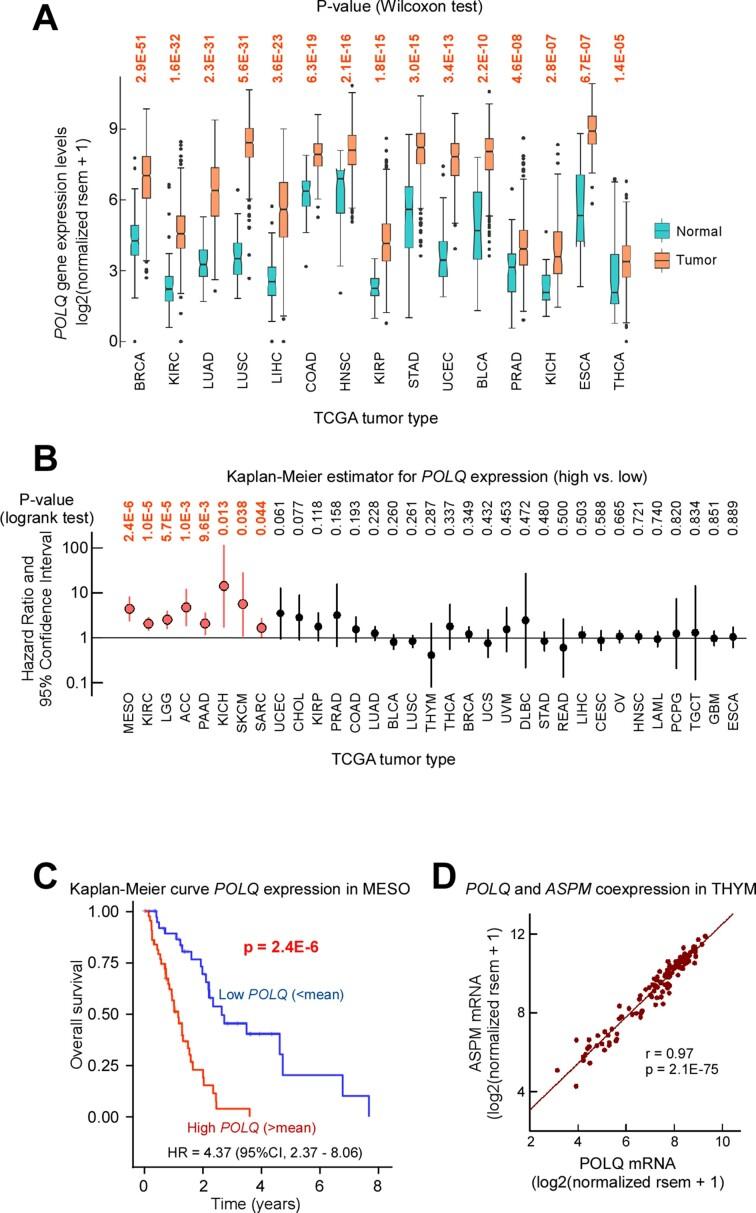 https://cdn.ncbi.nlm.nih.gov/pmc/blobs/d31e/10570058/e2cbe2a6de72/gkad727fig5.jpg
