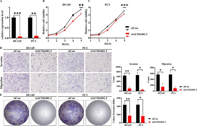 https://cdn.ncbi.nlm.nih.gov/pmc/blobs/d31f/10775669/b5743aebf642/12885_2023_11778_Fig5_HTML.jpg