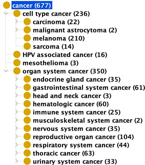 https://cdn.ncbi.nlm.nih.gov/pmc/blobs/d321/11186274/009094378f11/13326_2024_312_Fig5_HTML.jpg