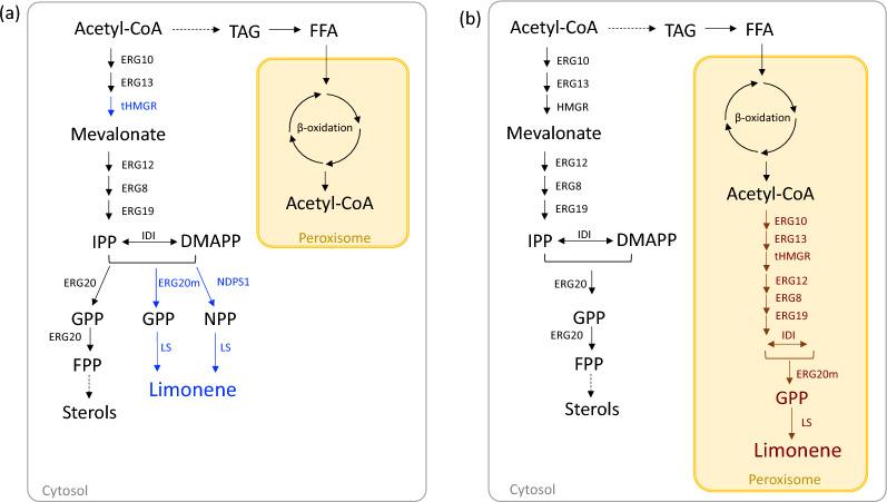 https://cdn.ncbi.nlm.nih.gov/pmc/blobs/d323/11223395/36d78a5e1555/13068_2024_2535_Fig1_HTML.jpg