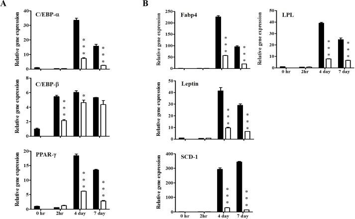 https://cdn.ncbi.nlm.nih.gov/pmc/blobs/d325/4674115/101beff16172/pone.0142041.g002.jpg