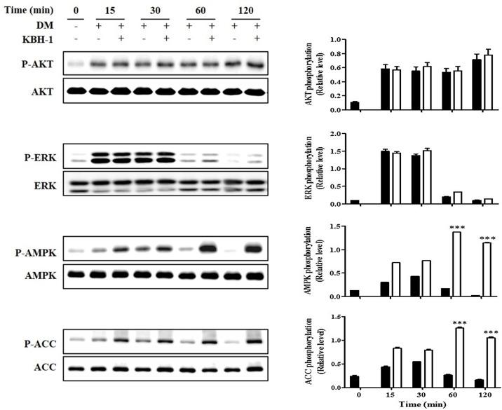 https://cdn.ncbi.nlm.nih.gov/pmc/blobs/d325/4674115/2730e78d28b8/pone.0142041.g004.jpg