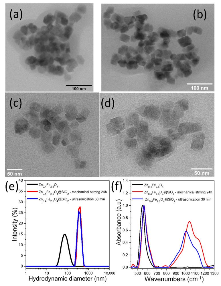 https://cdn.ncbi.nlm.nih.gov/pmc/blobs/d325/9313231/ab6583fdcf7a/biomedicines-10-01647-g002.jpg