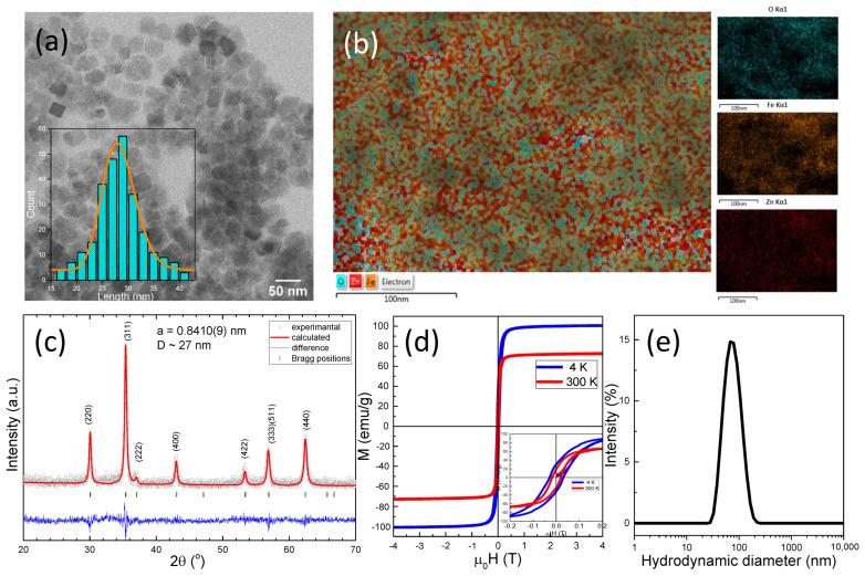 https://cdn.ncbi.nlm.nih.gov/pmc/blobs/d325/9313231/d827526c5b41/biomedicines-10-01647-g001.jpg