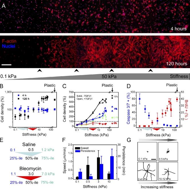 https://cdn.ncbi.nlm.nih.gov/pmc/blobs/d328/2928007/803a6fdf3b4f/JCB_201004082_RGB_Fig2.jpg