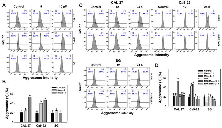 https://cdn.ncbi.nlm.nih.gov/pmc/blobs/d328/9965613/59c1cfdbd3c3/ijms-24-03987-g002.jpg