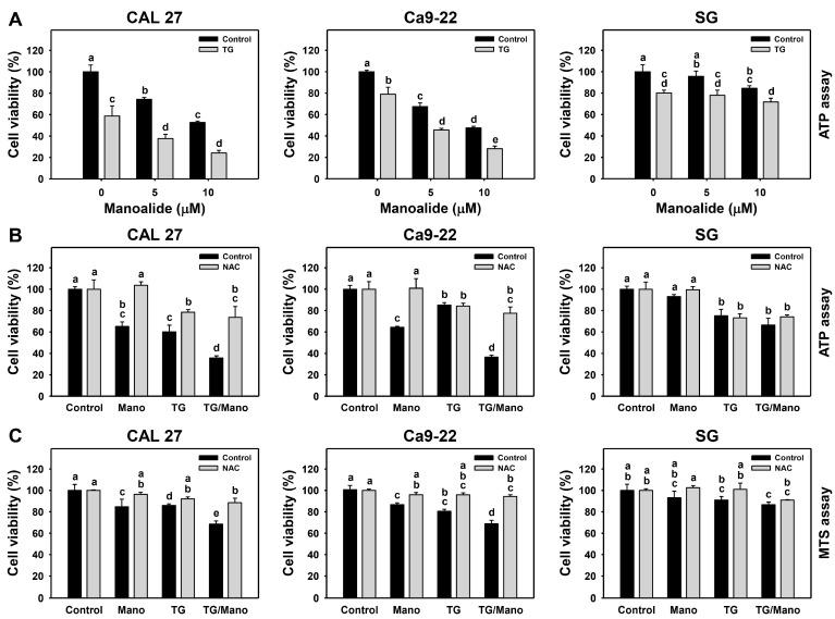 https://cdn.ncbi.nlm.nih.gov/pmc/blobs/d328/9965613/acd17c63efd0/ijms-24-03987-g004.jpg