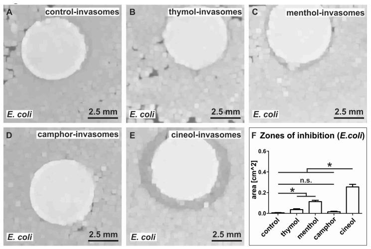https://cdn.ncbi.nlm.nih.gov/pmc/blobs/d32c/7277086/122a290ca870/biomedicines-08-00105-g010.jpg