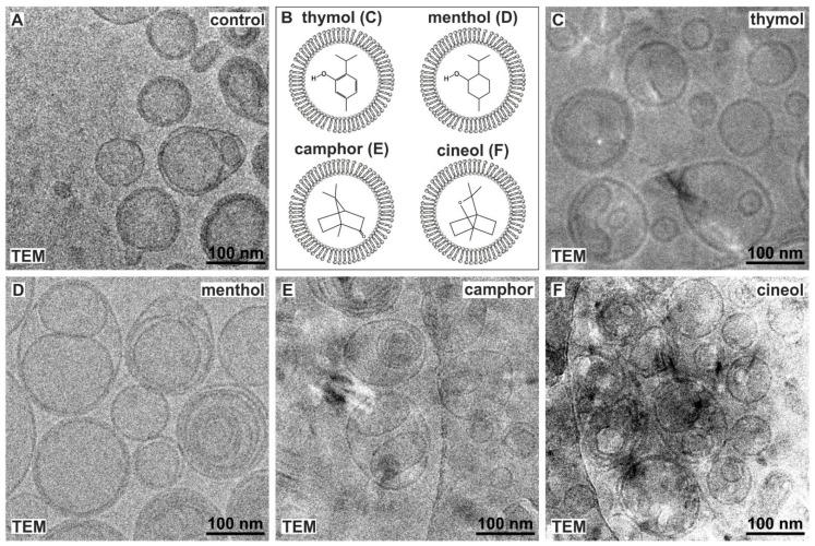 https://cdn.ncbi.nlm.nih.gov/pmc/blobs/d32c/7277086/3ff7f40313c0/biomedicines-08-00105-g002.jpg