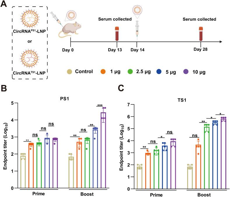 https://cdn.ncbi.nlm.nih.gov/pmc/blobs/d32f/11994721/b84d6fdf7305/fimmu-16-1562865-g002.jpg
