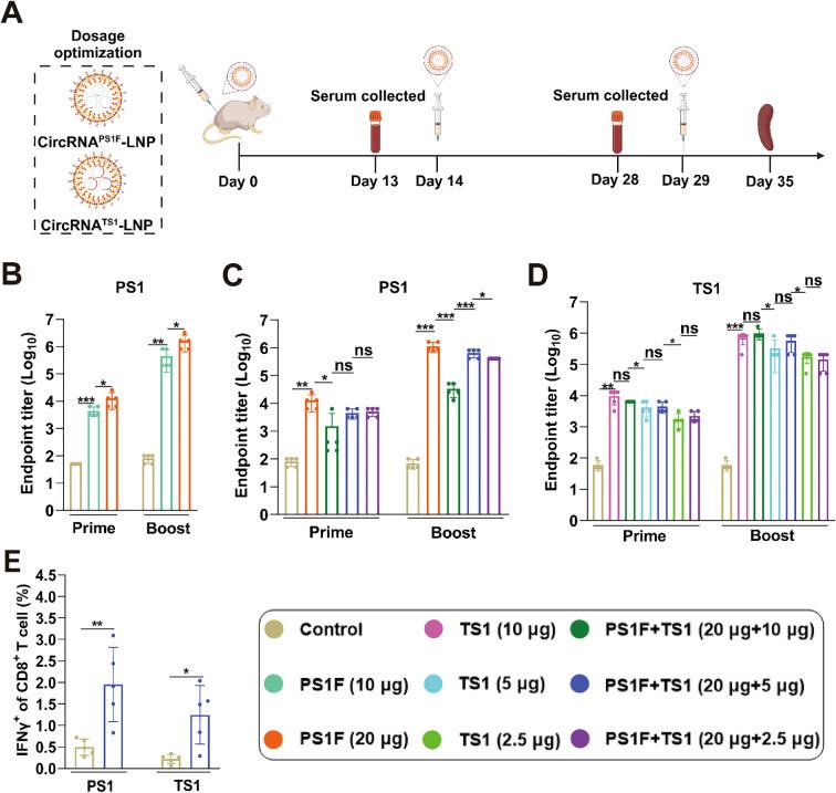 https://cdn.ncbi.nlm.nih.gov/pmc/blobs/d32f/11994721/dec899256cba/fimmu-16-1562865-g005.jpg