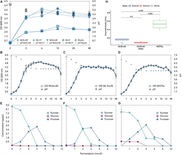 https://cdn.ncbi.nlm.nih.gov/pmc/blobs/d336/8015861/af371ce3c97c/fmicb-12-629449-g003.jpg