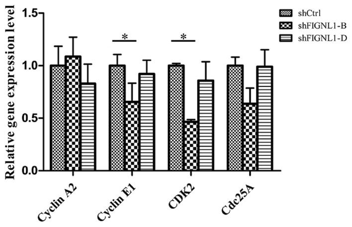 https://cdn.ncbi.nlm.nih.gov/pmc/blobs/d337/5367342/92aef165d93a/OR-37-04-1935-g04.jpg