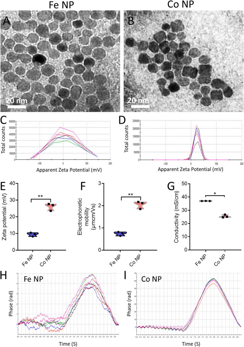 https://cdn.ncbi.nlm.nih.gov/pmc/blobs/d339/12149654/4d08efe85293/gr1.jpg