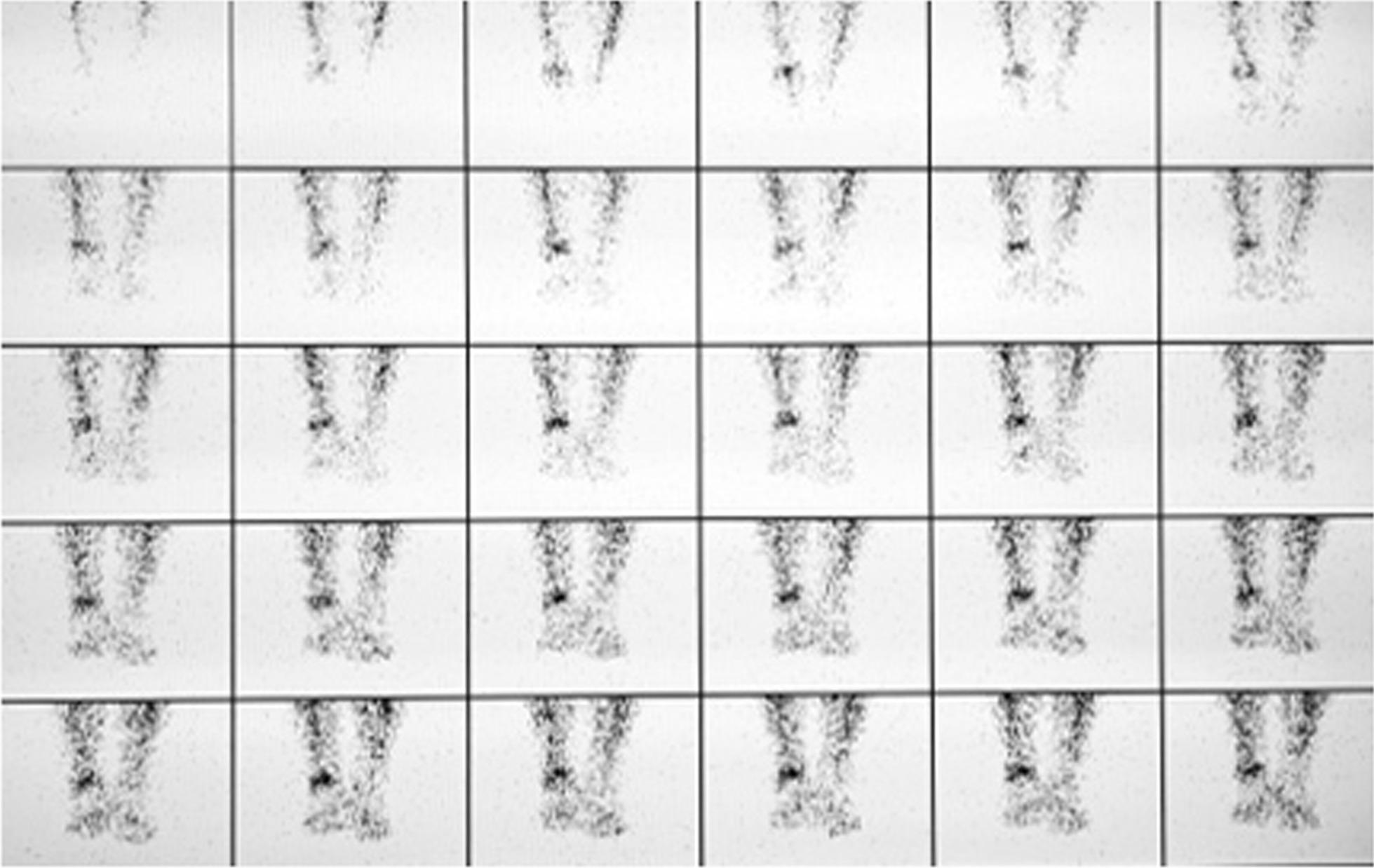 https://cdn.ncbi.nlm.nih.gov/pmc/blobs/d339/9554967/2ec1cc155115/13018_2022_3344_Fig1_HTML.jpg