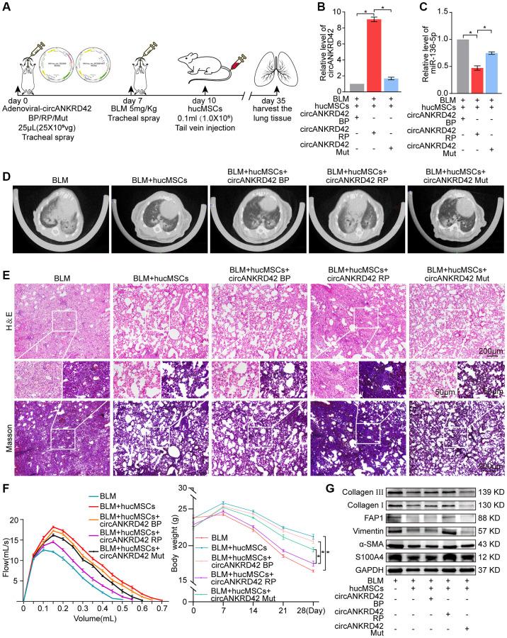 https://cdn.ncbi.nlm.nih.gov/pmc/blobs/d33e/10333056/209e82111fda/aging-15-204805-g006.jpg