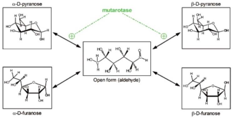 https://cdn.ncbi.nlm.nih.gov/pmc/blobs/d341/7593952/5df904c1d3fb/ijms-21-07729-g001.jpg
