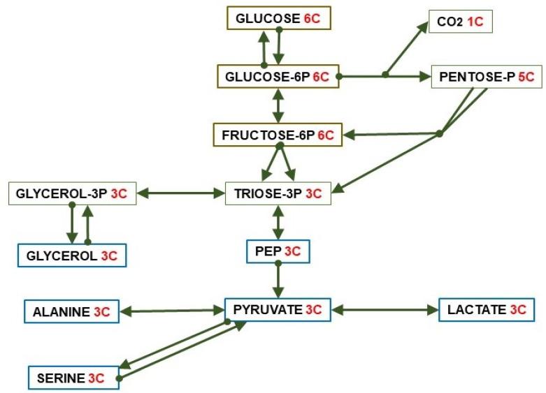 https://cdn.ncbi.nlm.nih.gov/pmc/blobs/d341/7593952/f93f0cf7d5bc/ijms-21-07729-g002.jpg