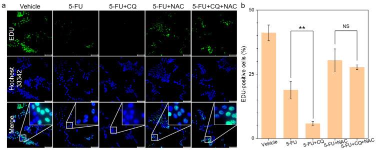 https://cdn.ncbi.nlm.nih.gov/pmc/blobs/d343/12024896/cc3abb9c2409/biomedicines-13-00948-g001.jpg