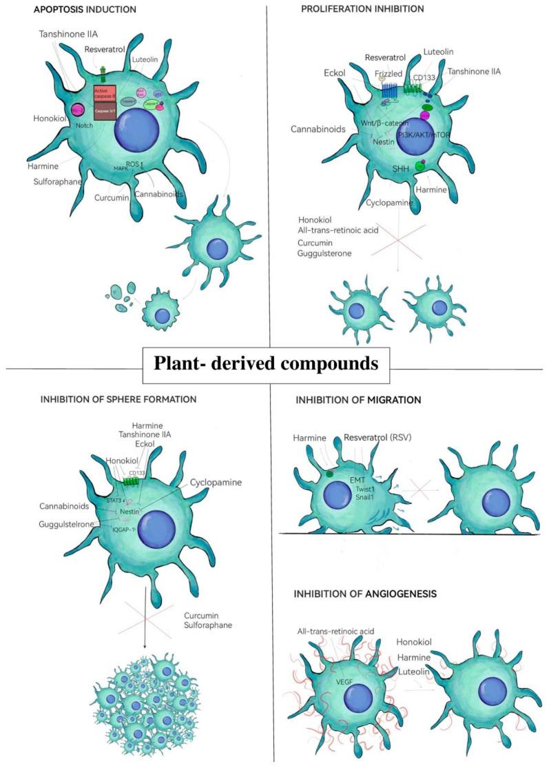 https://cdn.ncbi.nlm.nih.gov/pmc/blobs/d345/12196138/a081e3fdb7e5/neurosci-06-00052-g002.jpg