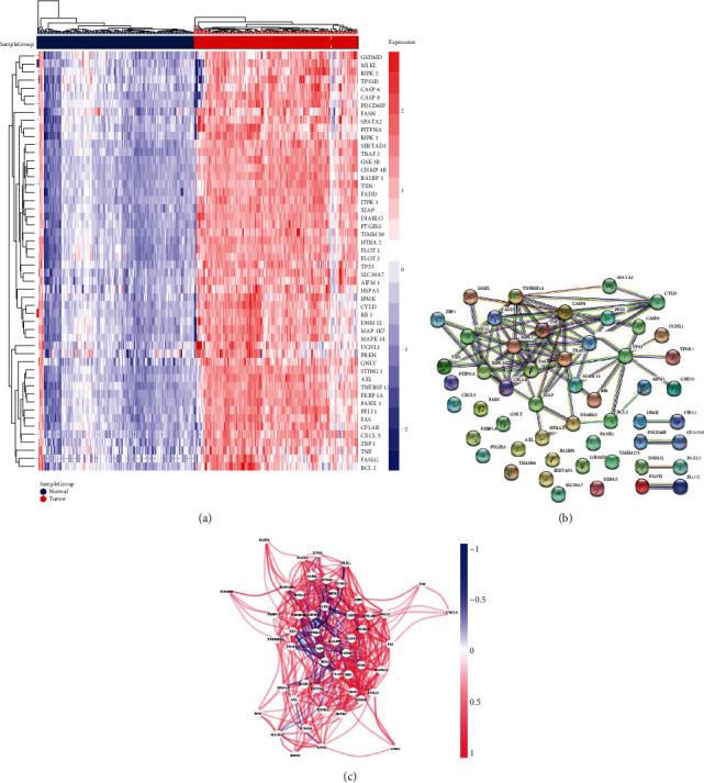 https://cdn.ncbi.nlm.nih.gov/pmc/blobs/d345/9214653/b6120c380f70/DM2022-9737587.001.jpg