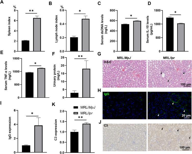 https://cdn.ncbi.nlm.nih.gov/pmc/blobs/d347/11520921/8e7ec1787d23/JIR-17-7705-g0001.jpg