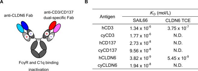 https://cdn.ncbi.nlm.nih.gov/pmc/blobs/d348/11474890/2ff516c21cf7/jitc-12-10-g001.jpg