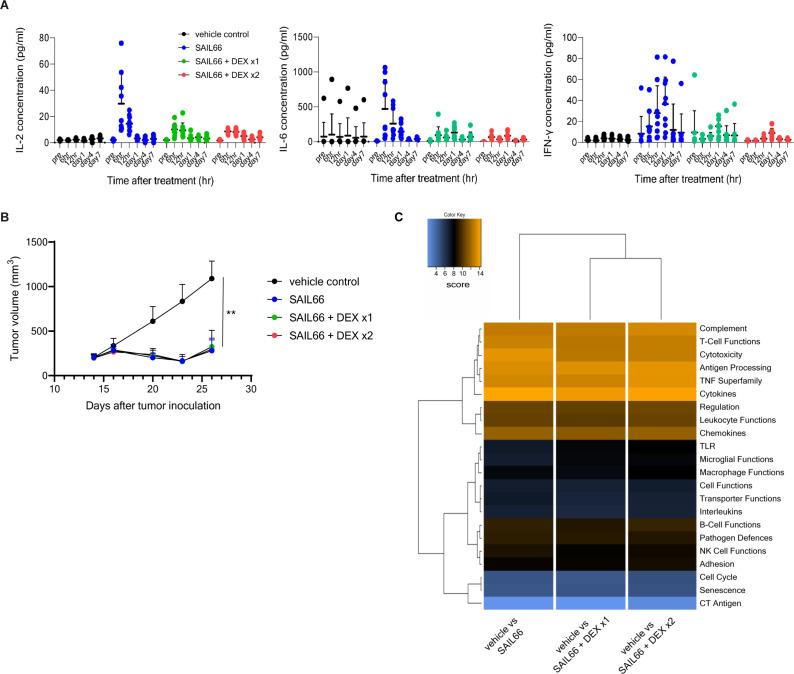 https://cdn.ncbi.nlm.nih.gov/pmc/blobs/d348/11474890/959105e38eeb/jitc-12-10-g006.jpg