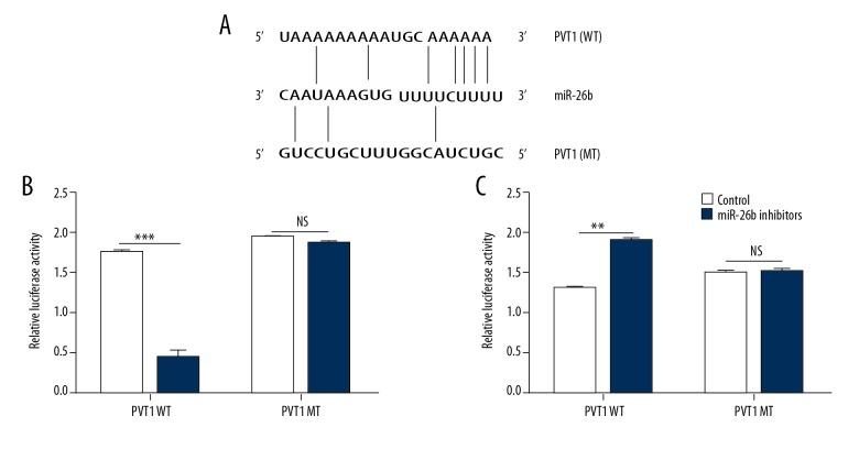 https://cdn.ncbi.nlm.nih.gov/pmc/blobs/d349/6286632/d2adca278a4c/medscimonit-24-8685-g004.jpg